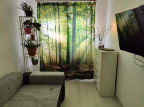 HANA Apartament